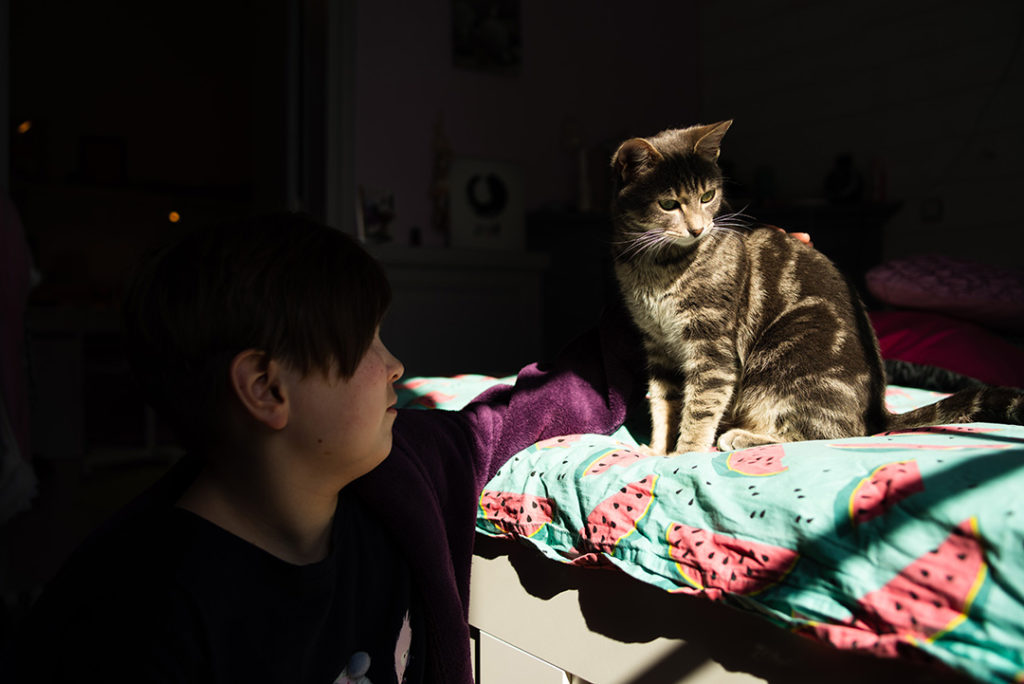 Mon projet photo 52. Portrait d'une jeune fille et d'un chat dans la lumière.