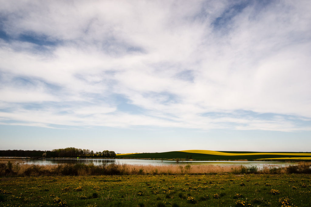 Weekend touristique et retrouvailles entre amis dans la Marne. Vue de la campagne avec les champs de colza et un étang au loin.