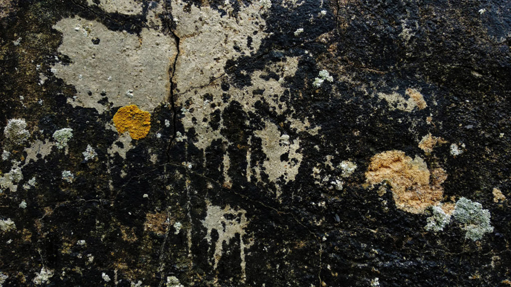 Formation à la macrophotographie avec le CPIE Mayenne. Photographie de détails, lichens sur la pierre formant un tableau abstrait. Fontaine Daniel, Mayenne.