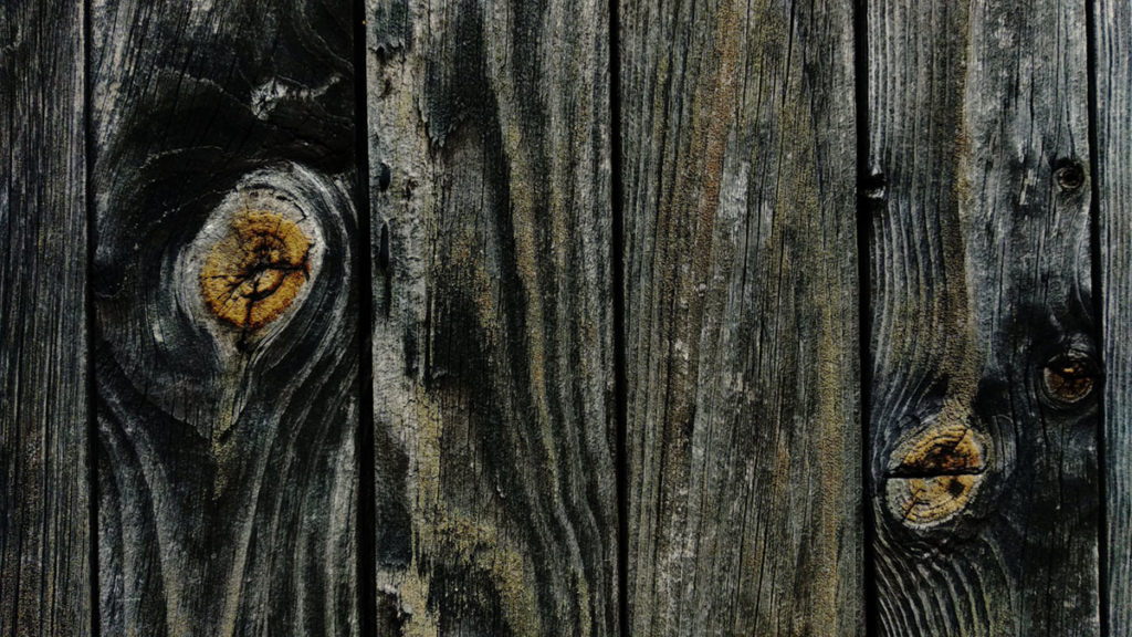 Formation à la macrophotographie avec le CPIE Mayenne. Photographie de détails, gros plan d'un cabanon de jardin à Fontaine Daniel en Mayenne. Texture du bois.