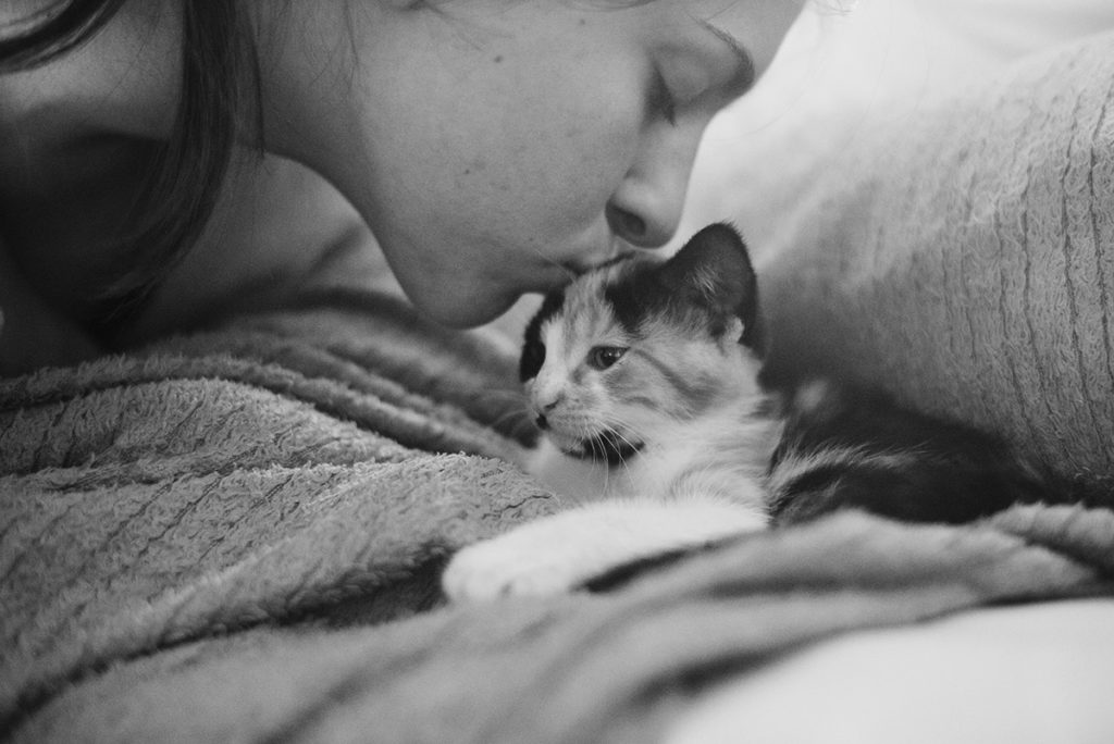 Projet photo, le loop de L'Ame Vagabonde. Photographie en noir et blanc, séquence tendresse entre une jeune fille et un chaton.