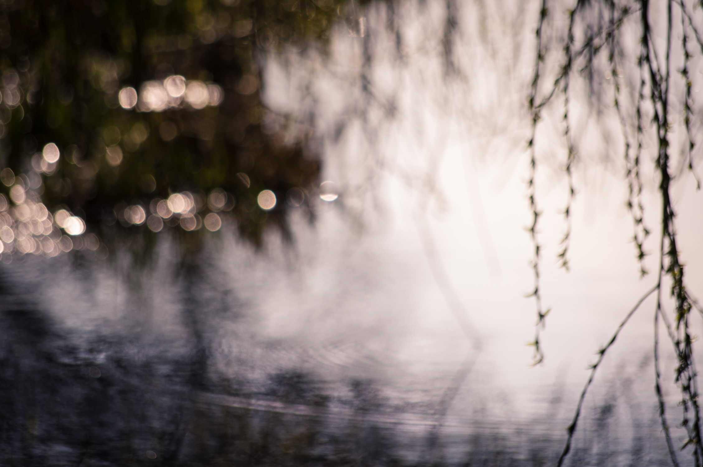 photo onirique floue petites bulles de lumière eau
